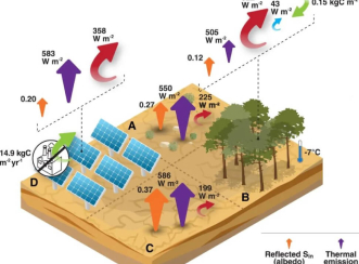 New research claims that photovoltaic power generation is superior to afforestation in addressing climate change