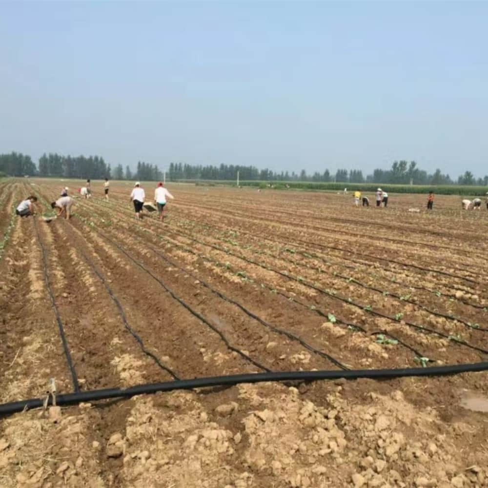 drip irrigation system