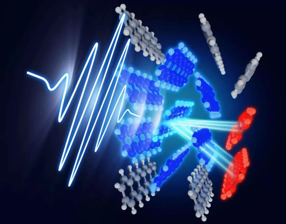 fission mechanism