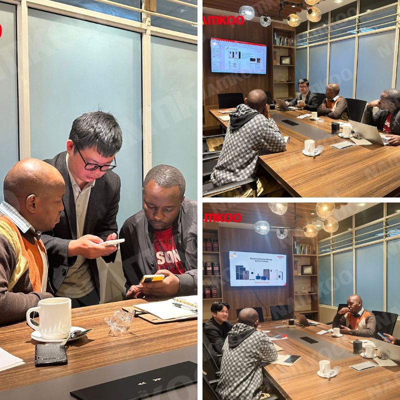 Local Technical Capabilities